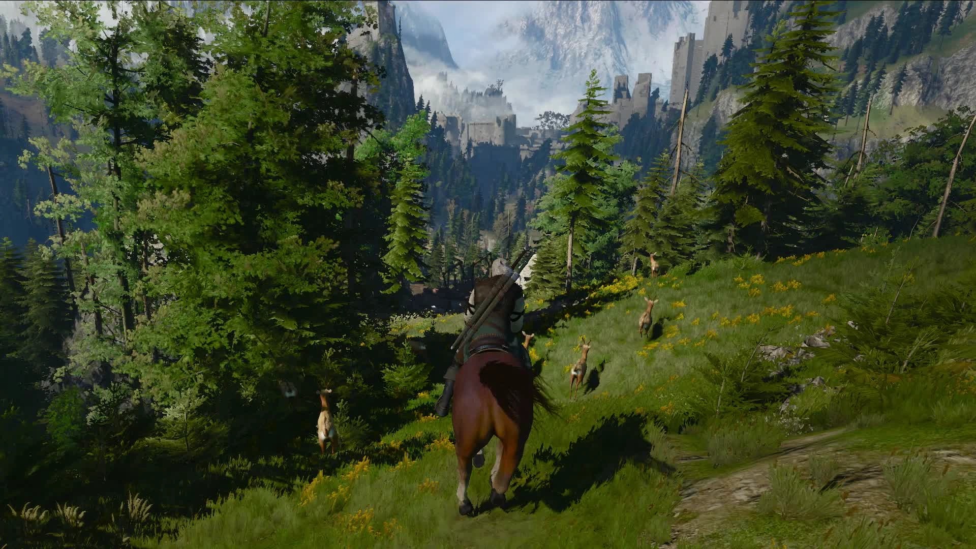 Ведьмак 3: Дикая Охота. Полное Издание [Nintendo Switch, русская версия] фото в интернет-магазине In Play