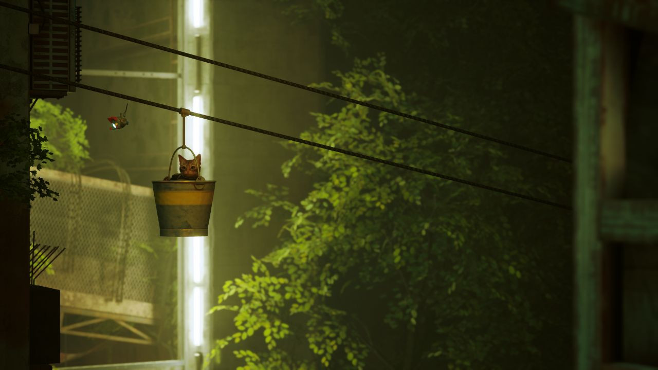 Stray (PS4, русские субтитры) фото в интернет-магазине In Play