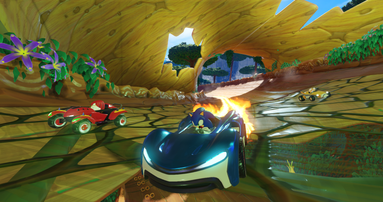 Team Sonic Racing [Nintendo Switch, русские субтитры] фото в интернет-магазине In Play