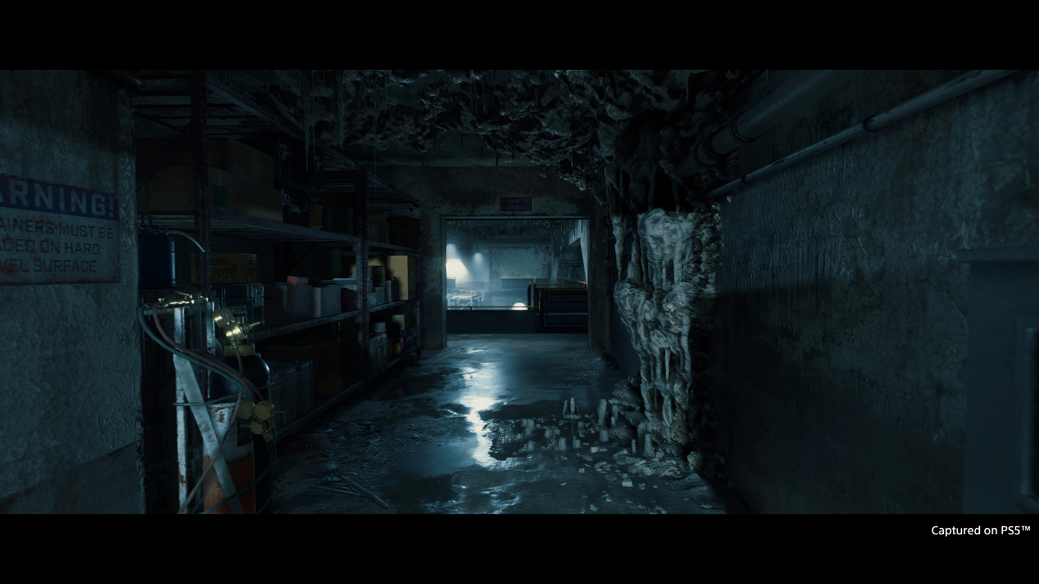 Death Stranding Director’s Cut (PS5, русская версия)