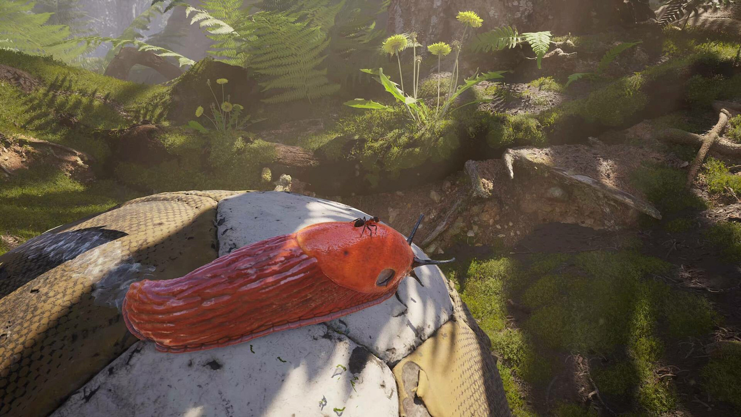 Empire of the Ants. Limited Edition (PS5, русские субтитры)