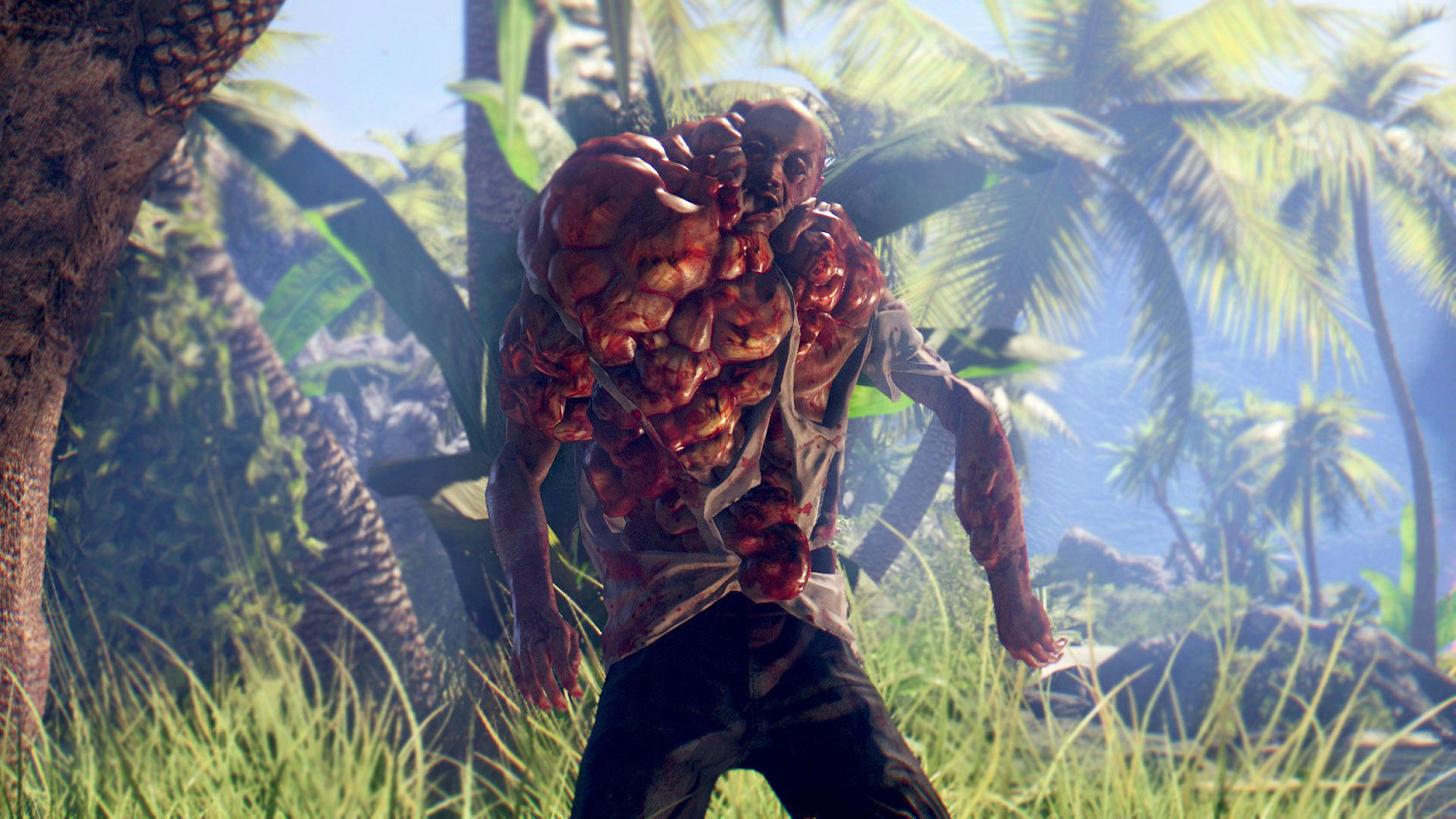 Dead Island. Definitive Edition [PS4, русские субтитры]