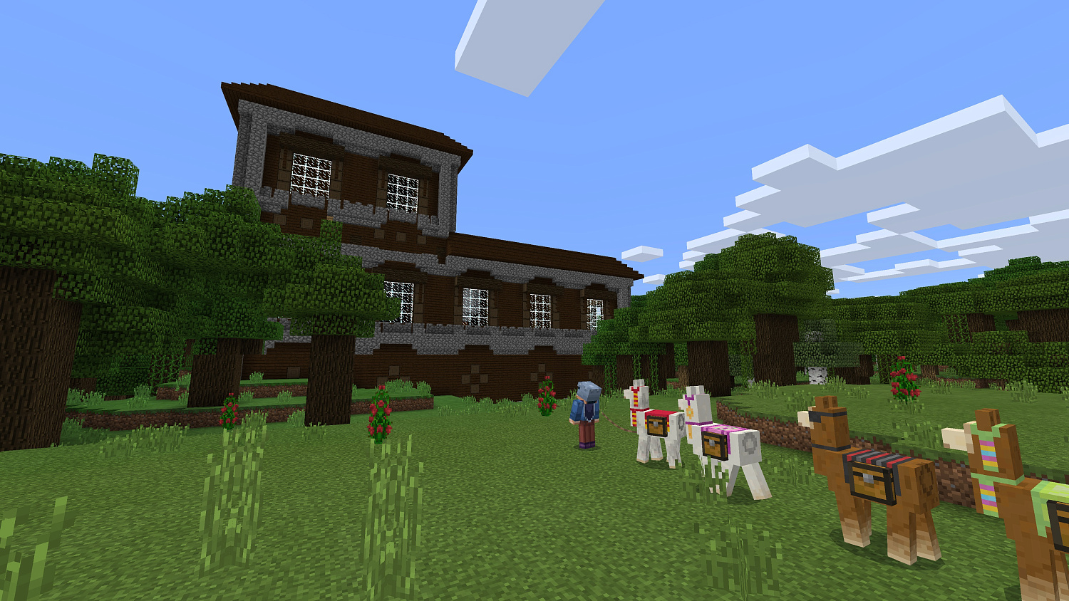 Minecraft (Nintendo Switch, русская версия)